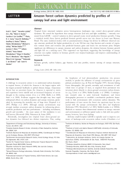 Amazon forest carbon dynamics predicted by profiles of canopy leaf