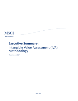 Executive Summary: Intangible Value Assessment (IVA