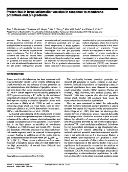 Proton flux in large unilamellar vesicles in response to membrane