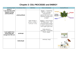 C3 Vocabulary and Learning Target packet