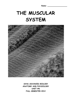Unit #6 Direction Sheet - Sonoma Valley High School