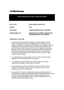 post title: development surveyor