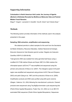 Supporting Information