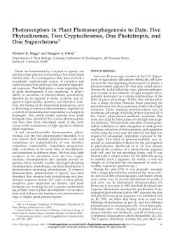 Photoreceptors in Plant Photomorphogenesis to