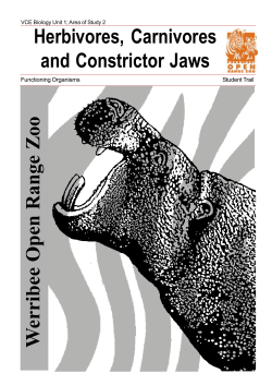 Herbivores, Carnivores and Constrictor Jaws - EDF4402-Ass2