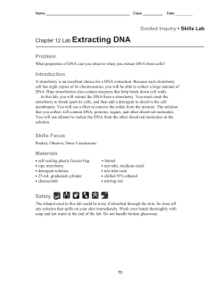 DNA Extraction Lab
