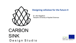 carbon sink - CellulosefromFinland.fi
