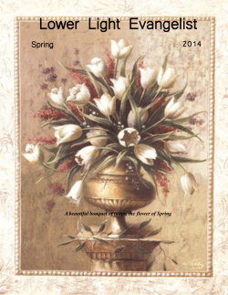 Lower Light Evangelist - Lower Light Church