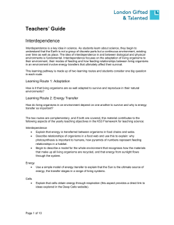 Teachers` Guide - Interdependence