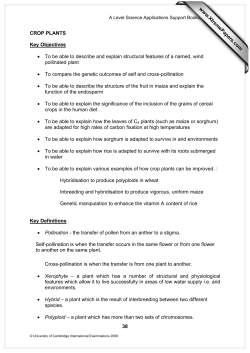 38 CROP PLANTS Key Objectives &bull; To be able to describe