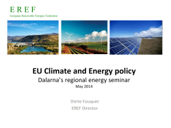 Dr. Doerte Fouquet - EU Climate and Energy policy