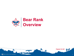 Bear Advancement and Recognition Continuing