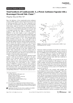 Total Synthesis of Candicanoside A, a Potent Antitumor Saponin