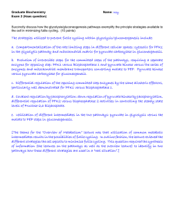 The strategies utilized to prevent futile cycling within glycolysis