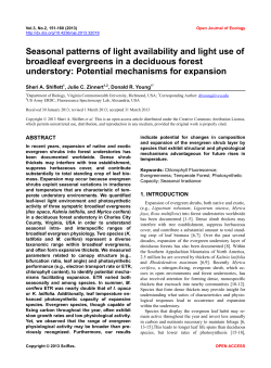 Seasonal patterns of light availability and light use of broadleaf