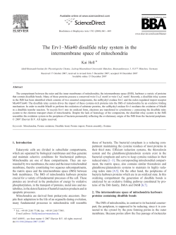 The Erv1&ndash;Mia40 disulfide relay system in the intermembrane space