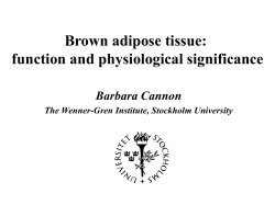 Brown adipose tissue: function and physiological significance