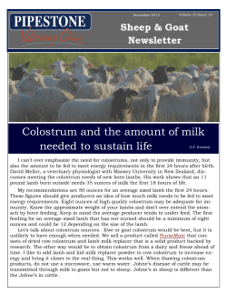 Colostrum and the amount of milk needed to sustain life