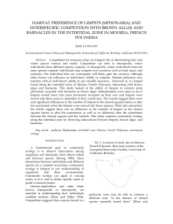 Habitat Preference of Limpets (Siphonaria)