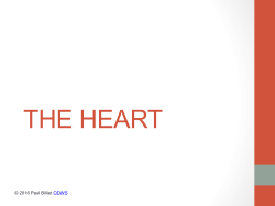 THE HEART