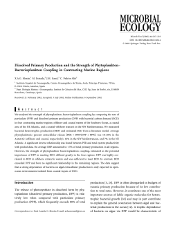 Dissolved Primary Production and the Strength of Phytoplankton
