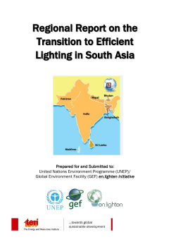 Regional Report on the Transition to Efficient Lighting in South Asia