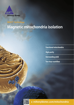 Magnetic mitochondria isolation
