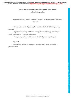 Private information alone can trigger trapping of ant colonies in local