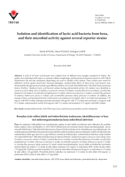 Isolation and identification of lactic acid bacteria