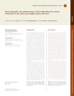 Biostratigraphy and paleoecology of the Oligo