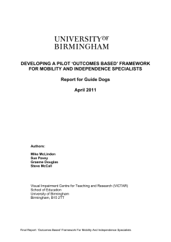 Developing a pilot `outcomes based` framework for mobility and