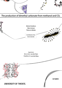 PPD207_DMC Standaard Word bestand