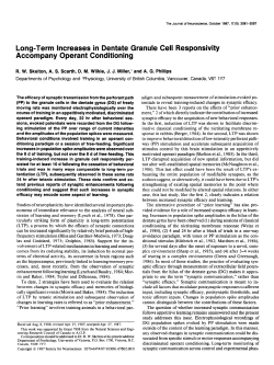 Long-Term Increases in Dentate Granule Cell Responsivity