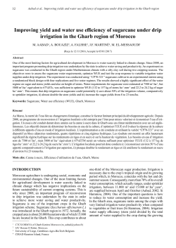 Improving yield and water use efficiency of sugarcane under drip