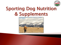 HERE - Arctic Bird Dog Association