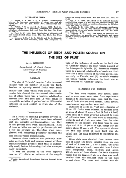 the influence of seeds and pollen source on the size of fruit