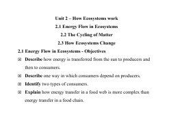 Energy Transfer