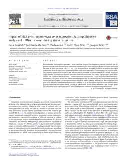 Impact of high pH stress on yeast gene expression