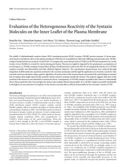 Evaluation of the Heterogeneous Reactivity of the Syntaxin