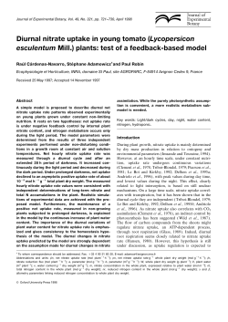 Diurnal nitrate uptake in young tomato
