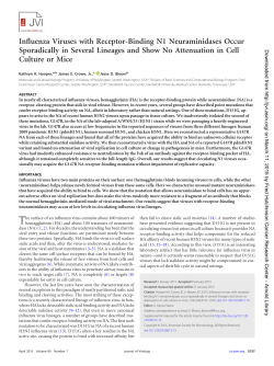 Influenza Viruses with Receptor-Binding N1 Neuraminidases Occur