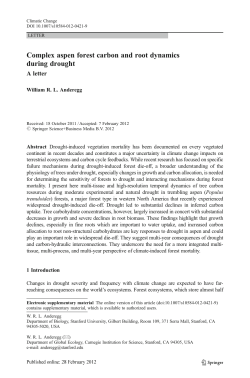 Complex aspen forest carbon and root dynamics during drought
