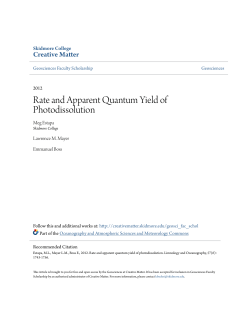 Rate and Apparent Quantum Yield of
