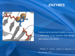enzymes