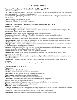 Chapter 7 Vocabulary