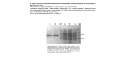PowerPoint-Pr&auml;sentation - Springer Static Content Server