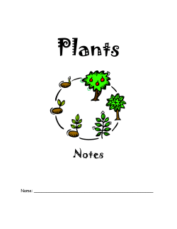 Plants Notes 2015