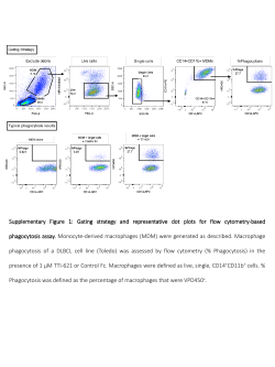 Gating strategy and representative dot plots for flow cytometry