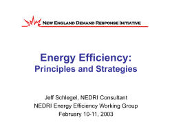 Energy Efficiency Presentation - New England Demand Response