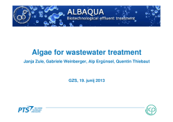 Algae for wastewater treatment